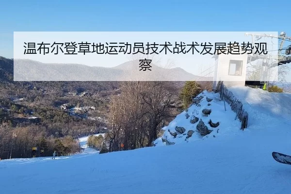 温布尔登草地运动员技术战术发展趋势观察